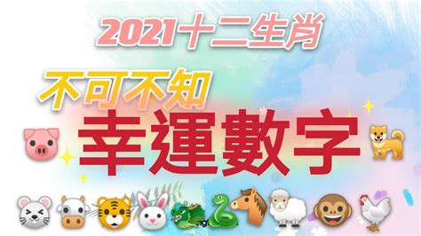 屬虎的幸運數字|12生肖最強開運秘訣 幸運數字、顏色與方位都要筆記。